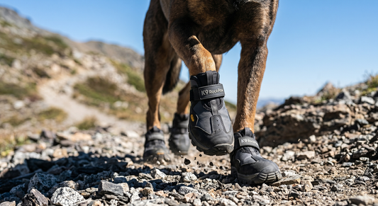 How to Choose the Right Dog Trail Boots: What Actually Matters (And What Doesn't)